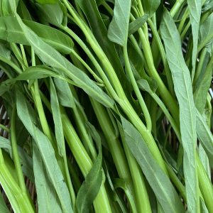 ผักบุ้งจีนออร์เเกนิค