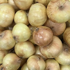 Organic White Onion (Chiang Mai)