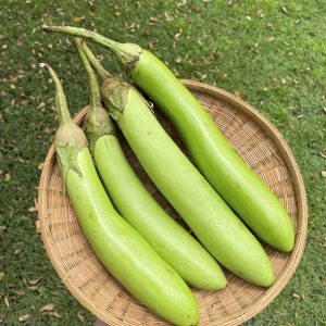 Organic Thai Long Eggplants