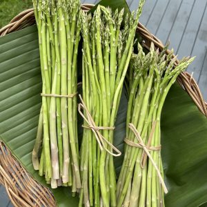 Organic Asparagus (Pa La-U)