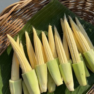 Organic Baby Corn (Ratchaburi)