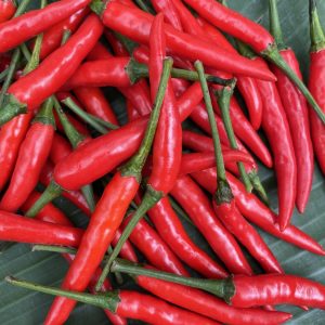 พริกจินดาออร์เเกนิค (นครราชสีมา)