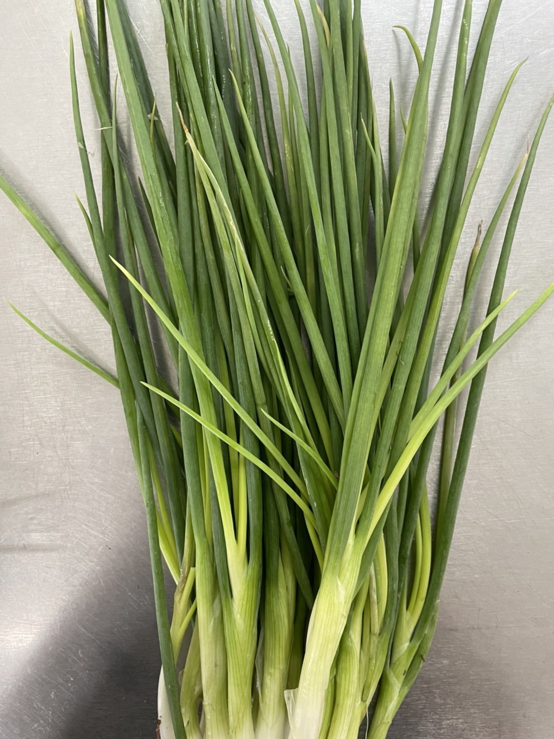 Organic Spring Onion (Ratchaburi) - BAAN KERDBAAN KERD