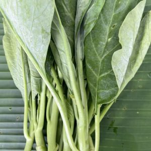 Organic Chinese Kale (Ratchaburi)