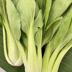 Organic Bok Choy