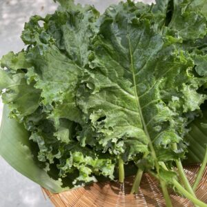 Organic Curly Kale (Nakhon Pathom)