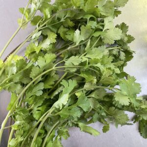 ผักชีออร์แกนิค