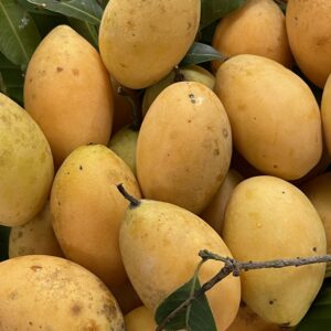 มะยงชิดออร์แกนิค