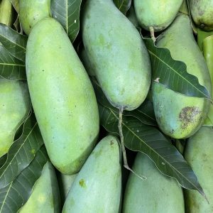 มะม่วงมันขุนศรีออร์เเกนิค (บางช้าง)