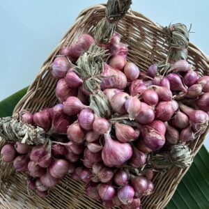 Organic Shallots (Nakhon Ratchasima)
