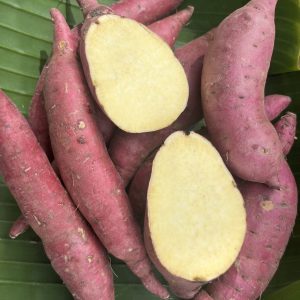 มันหวานญี่ปุ่นออร์แกนิค (เหลือง)