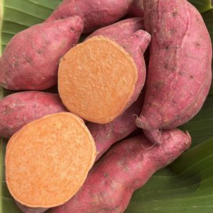 Organic Japanese Sweet Potatoes (Orange)