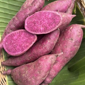 มันหวานญี่ปุ่นออร์แกนิค (ม่วง)