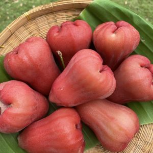 ชมพู่ทับทิมจันทร์ออร์เเกนิค