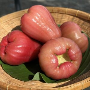 Organic "Giant Taiwanese" Rose Apples