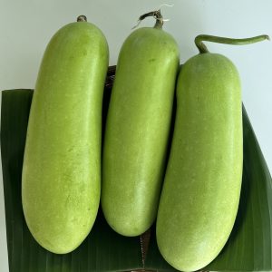 Organic Wax Gourd (Ratchaburi)