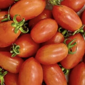 Organic Cherry Tomatoes (Wungnamkiew)