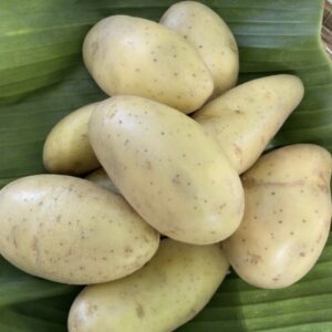 Organic Potatoes (Chiang Mai)