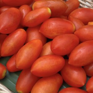 มะเขือเทศราชินีออร์แกนิค (วังน้ำเขียว)