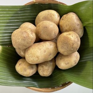 Organic Potatoes (Chiang Mai)