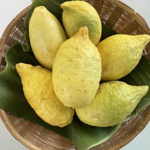 Organic Local Lemons (Ratchaburi)