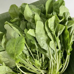 เบบี้ร็อกเก็ตออร์แกนิค