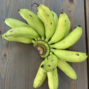 Organic Kai Bananas (Nakhon Ratchasima)