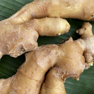 ขิงแก่ออร์เเกนิค