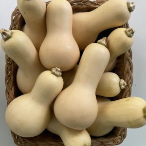 Organic Butternut Squash (Chiang Mai)