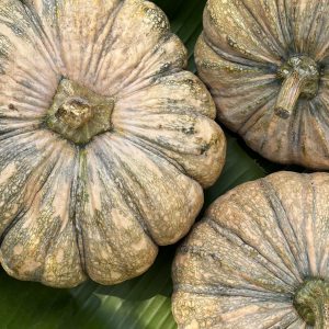 ฟักทองไทยออร์แกนิค (เชียงใหม่)