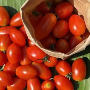 Organic "Gomen Red " Cherry Tomatoes (Ratchaburi)