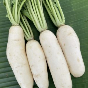 Organic White Radish (Pa-La-U)