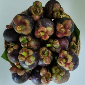 Organic Mangosteen (Pa La-U)