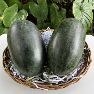 แตงโมตอปิโดออร์แกนิค (ป่าละอู)