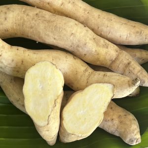 Organic Japanese Sweet Potatoes (White)