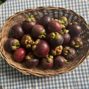 มังคุดออร์แกนิค (ตราด)