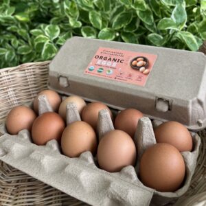 Organic Free Range Chicken Eggs (Ratchaburi) - Medium Size