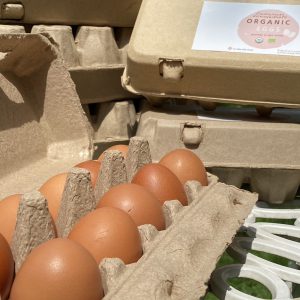 ไข่ไก่ออร์เเกนิค (ราชบุรี) - ไซส์กลาง