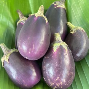 Organic Purple Eggplants (Wungnamkiew)