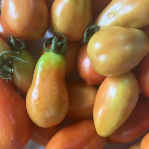 มะเขือเทศ San Marzano ออร์แกนิค (ป่าละอู)