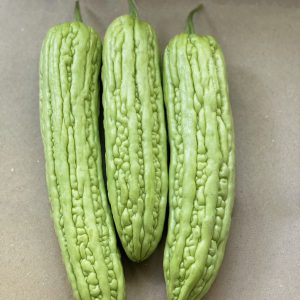 Organic Bitter Melon (Pa La-U)