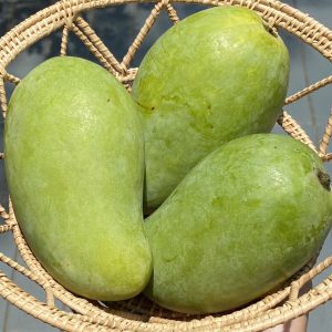 มะม่วงแรดออร์เเกนิค (ราชบุรี)