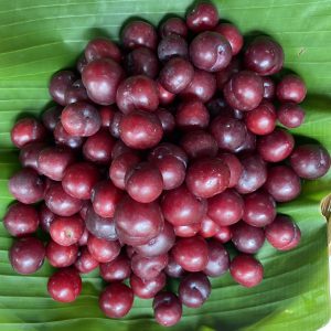 Organic Highland Cherry (Cherry Plum)