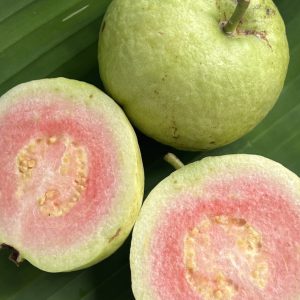 ฝรั่งไส้แดงออร์เเกนิค (บางช้าง)