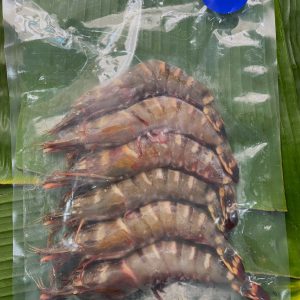 Wild Caught Giant Tiger Prawn (Frozen)