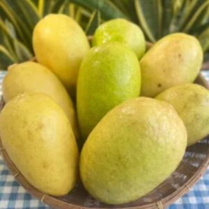 Organic Local Lemons (Udon Thani)