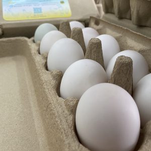 ไข่เป็ดออร์เเกนิค (นครปฐม)