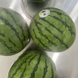 Organic "Sonya" Watermelon (Wungnamkiew)