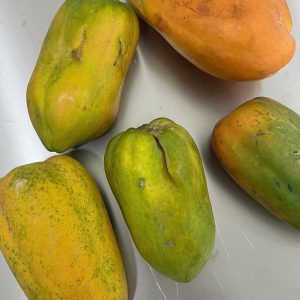 Organic Holland Papaya (Ratchaburi)