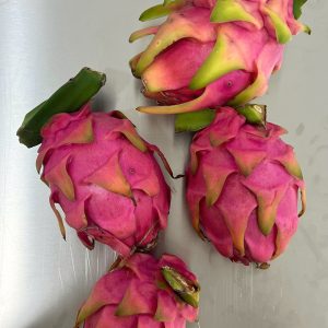 แก้วมังกรขาวอินทรีย์ (ราชบุรี)